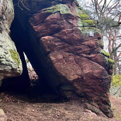 24-02-26 11-55-55 8695